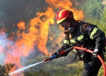 Salemi, vasto incendio al Monte delle Rose