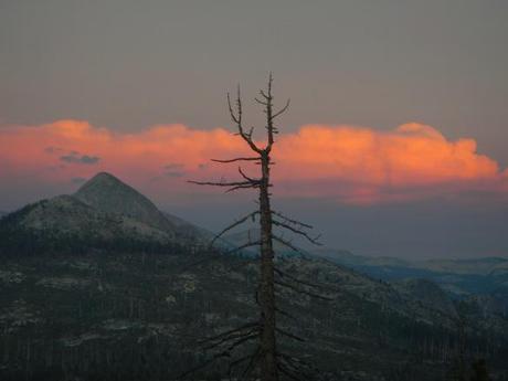 Landscape Yosemite Park - California