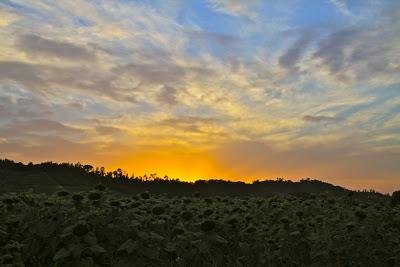 la campagna che si tinge al tramonto