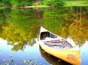 saluto, lascio suggerimento commento