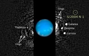 La nuova luna di Nettuno, un rebus per gli astronomi