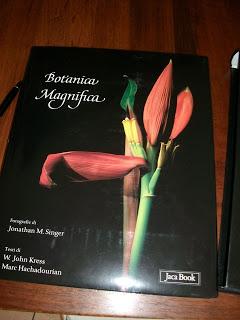 BOTANICA MAGNIFICA  - J. M. SINGER - JACA BOOK