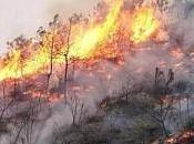 Sardegna devastata dagli incendi Quattro feriti