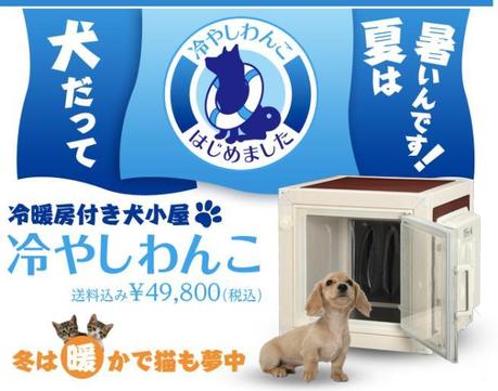 C 2 fotogallery 1023695  ImageGallery  imageGalleryItem 0 image Dal Giappone arriva il primo frigo per cani: ma solo per rinfrescarli [Foto]