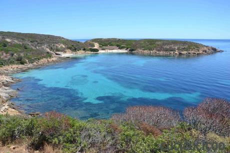 a dell'Asinara - Cala Sabina