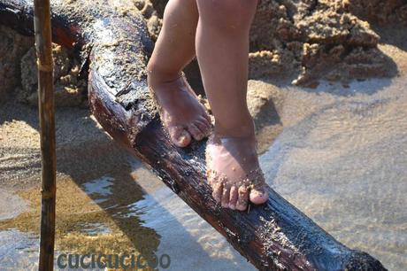 equilibrio sul tronco