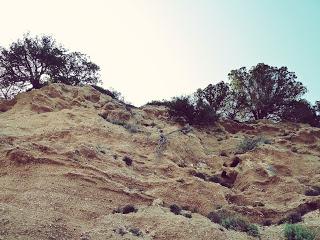 Spiagge senza guinzaglio: Cala Gonone