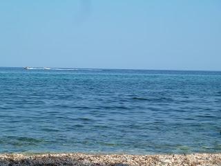 Spiagge senza guinzaglio: Cala Gonone