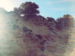 Spiagge senza guinzaglio: Cala Gonone