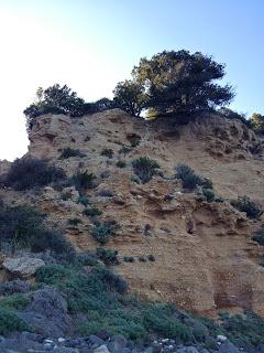 Spiagge senza guinzaglio: Cala Gonone