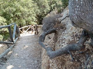 Spiagge senza guinzaglio: Cala Gonone