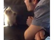 gatto combatte l’aria (Video)