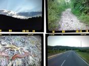 Anche scoiattoli dormono...