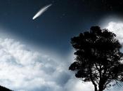 Make wish tonight!
