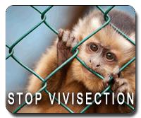 Stop Vivisection