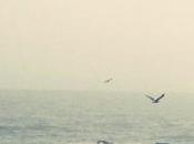 Recensione refugio Laboule, Long Songs Records, 2013