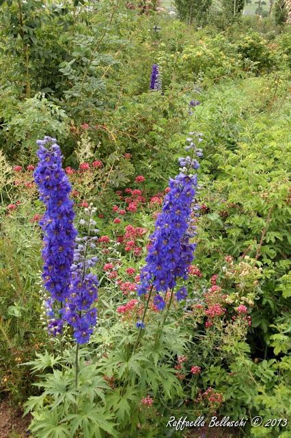 Attività all'aria aperta: Giardino della Rosa