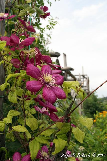 Attività all'aria aperta: Giardino della Rosa