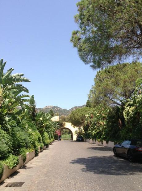 L’Estate di Zelda foto