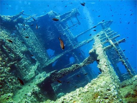 Il relitto dell'Elviscott - Isola d'Elba (immagine da aquanauticelba.de)