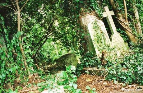 Le tombe dell'Highgate Cemetery