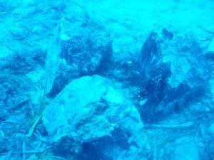 Un tesoro neolitico nel mare di Capri