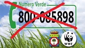 IL NUMERO VERDE CONTRO I REATI DEL DEMANIO MARITTIMO NON E' ATTIVO