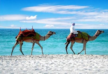 Costa Crociere cancella gli scali in Egitto e Mar Rosso per autunno-inverno