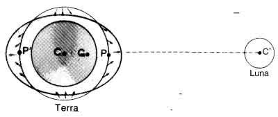 Forze di marea subite per attrazione gravitazionale