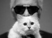 Karl Lagerfeld innamorato gatto…e siete amici “pelosi”?