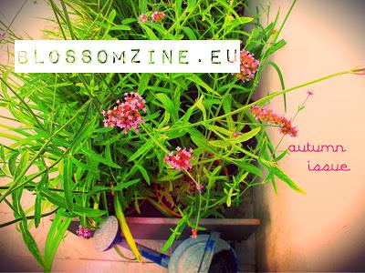 Blossom zine secondo numero