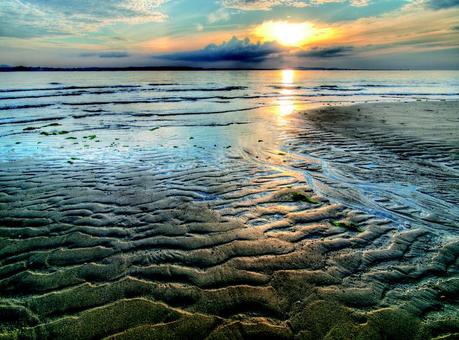 Wattenmeer, Germania