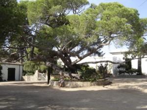 Os Caminhos de Garibaldi: “Tramonti di Musica” si sposta a Caprera nella casa di Garibaldi, 16 agosto