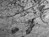 NASA discute possibile missione robotica Europa