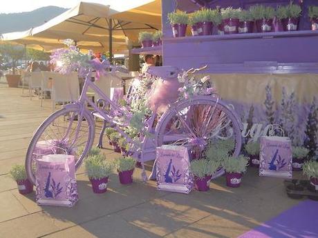 Mostra mercato di Pisogne sul lago d’Iseo
La lavanda del...