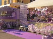 Mostra mercato Pisogne lago d’Iseo lavanda del...