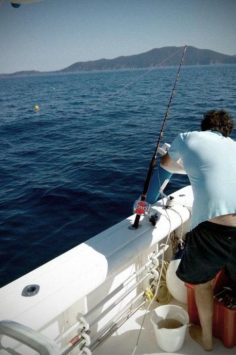 Esche in acqua e pasturatore in azione