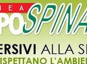 Sapospina detersivi simpatici??!!