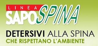 Sapospina i detersivi ... simpatici??!!