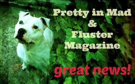 Fluster Magazine Pretty Collab 
