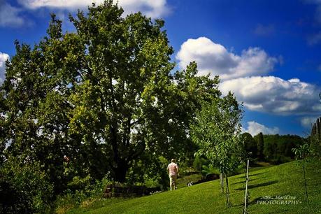 Ferragosto in campagna