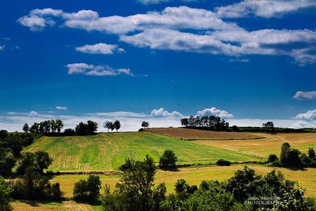 Ferragosto in campagna