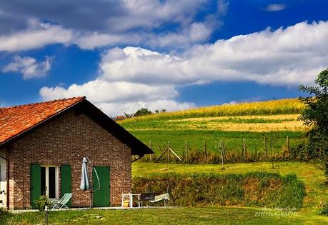 Ferragosto in campagna