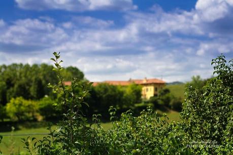 Ferragosto in campagna