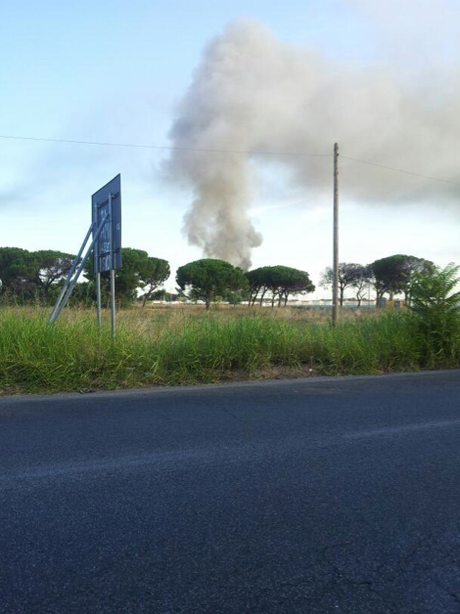 Roghi tremendi al campo rom La Barbuta. Ci uccidono tutti di diossina, ogni giorno, nell'impunità più totale