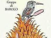 Grappa Barolo Dist. Marolo