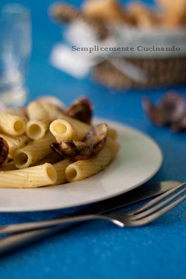 tortiglioni pesto e vongole