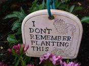 don't remember planting this