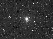 Nova Dephinus 2013: nuova stella mese agosto