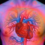 Psoriasi, chi soffre di forme gravi più esposto a malattie cardiache